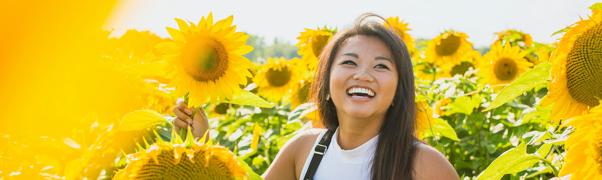 Breathe Easy This Spring: Managing Allergies for Better Gum Health